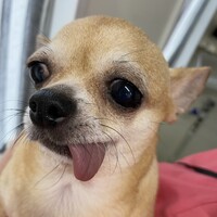 あき