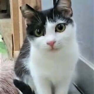 人懐っこい甘えん坊＊小柄な女の子