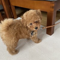 そら