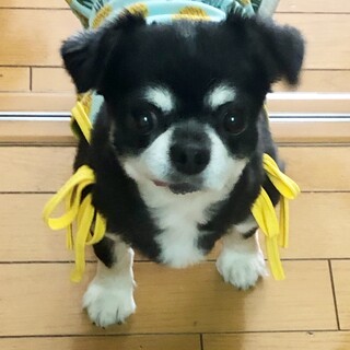 幸せになりました♡ありがとうございました
