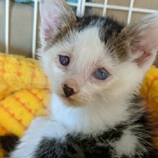 お話中につき募集停止