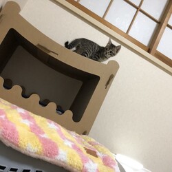 ケガしないでね