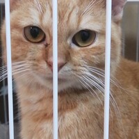 和希（かずき）