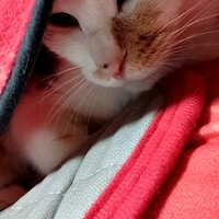 みー