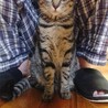 の写真