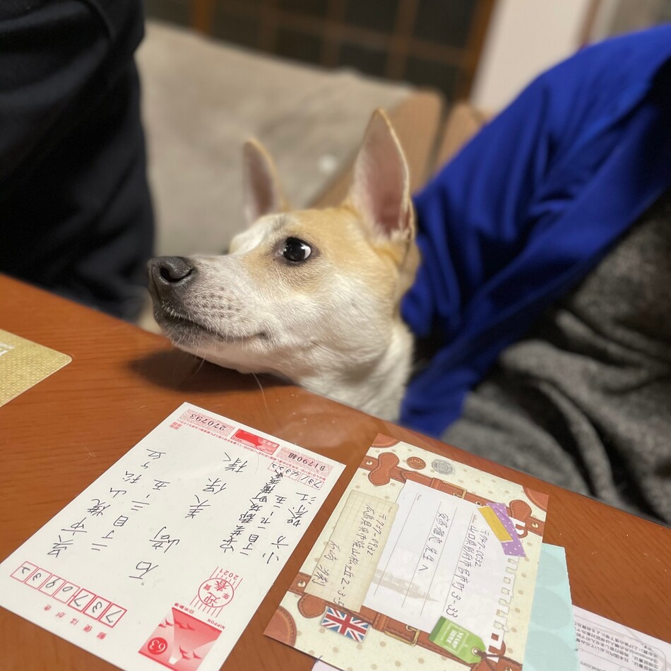 ミレーのカバー写真