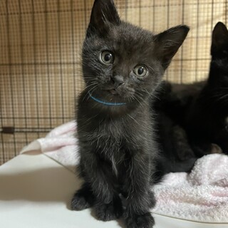 まっったり♪甘えん坊な女の子