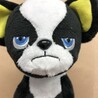 PAハバネロ