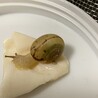 掃除で別の所に移してたらなんか偶然寄り添い合ってた 可愛い