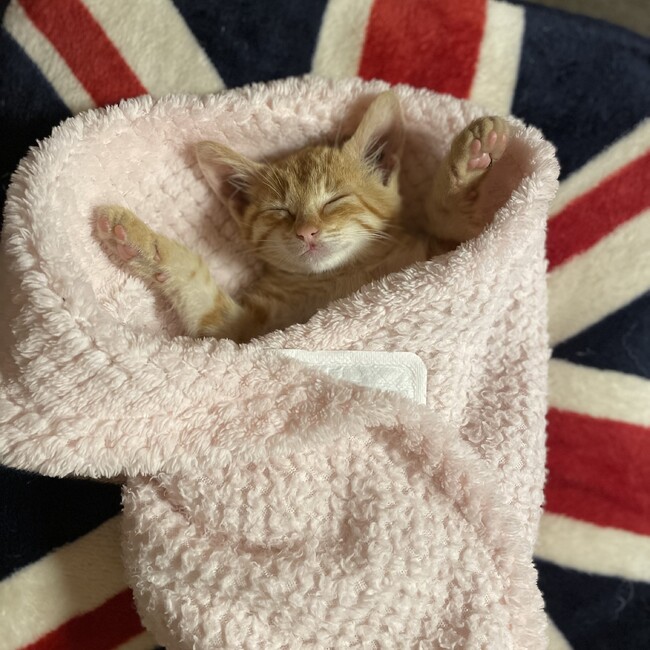 あやべのお家のカバー写真