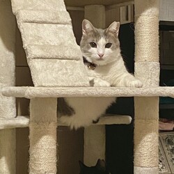 「祝1周年」サムネイル2