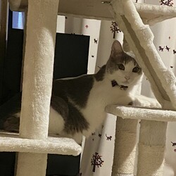 「祝1周年」サムネイル3