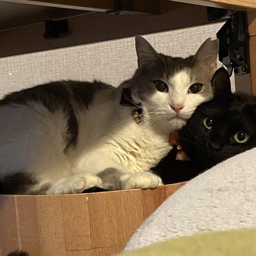 (仲良し)(苦しい)