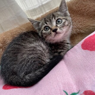 姉妹で迎えてくださることになりました♪