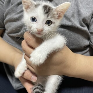 素敵な里親様が見つかりました☆風斗