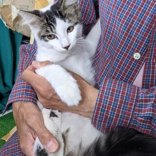 しっぽがふわふわなきじしろくん