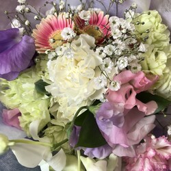 「色々な方に支えて頂きながら…」サムネイル1