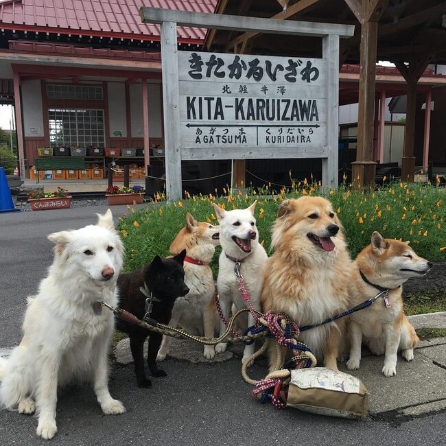 Minira9jpのカバー写真