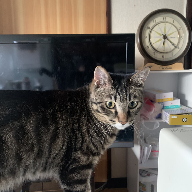 yu-kuのカバー写真
