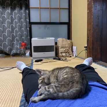 お腹の上で寝てます(^^)