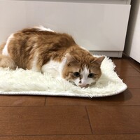 レオン
