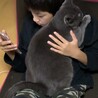 のんたくみ