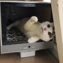 ほんのりぽっちゃり、イイキャラのらん丸くん♪