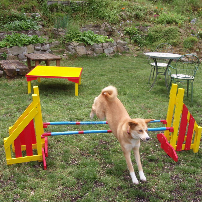 Fundogのカバー写真