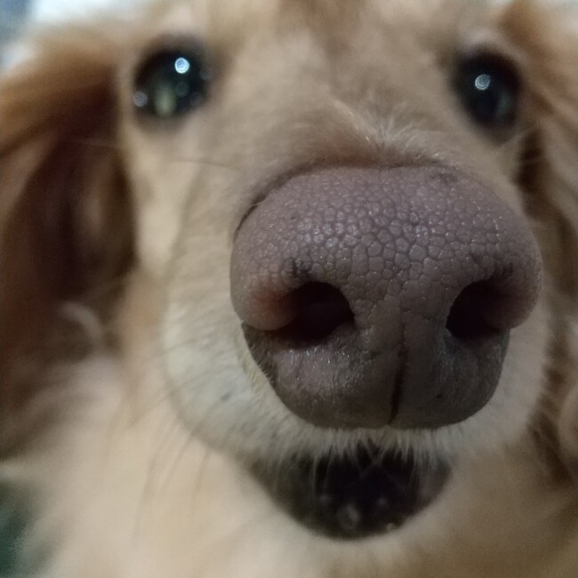 あまママのカバー写真