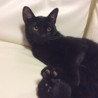 ちびくん