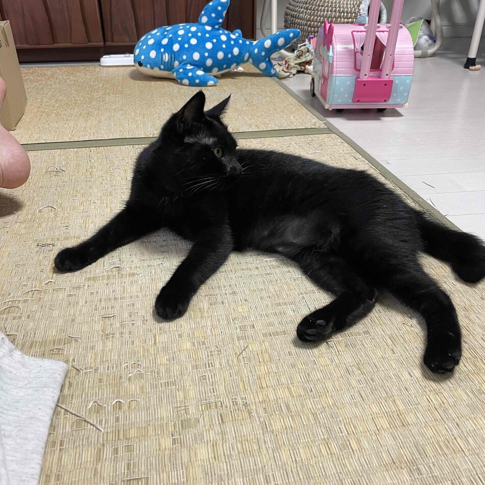 あんみのカバー写真