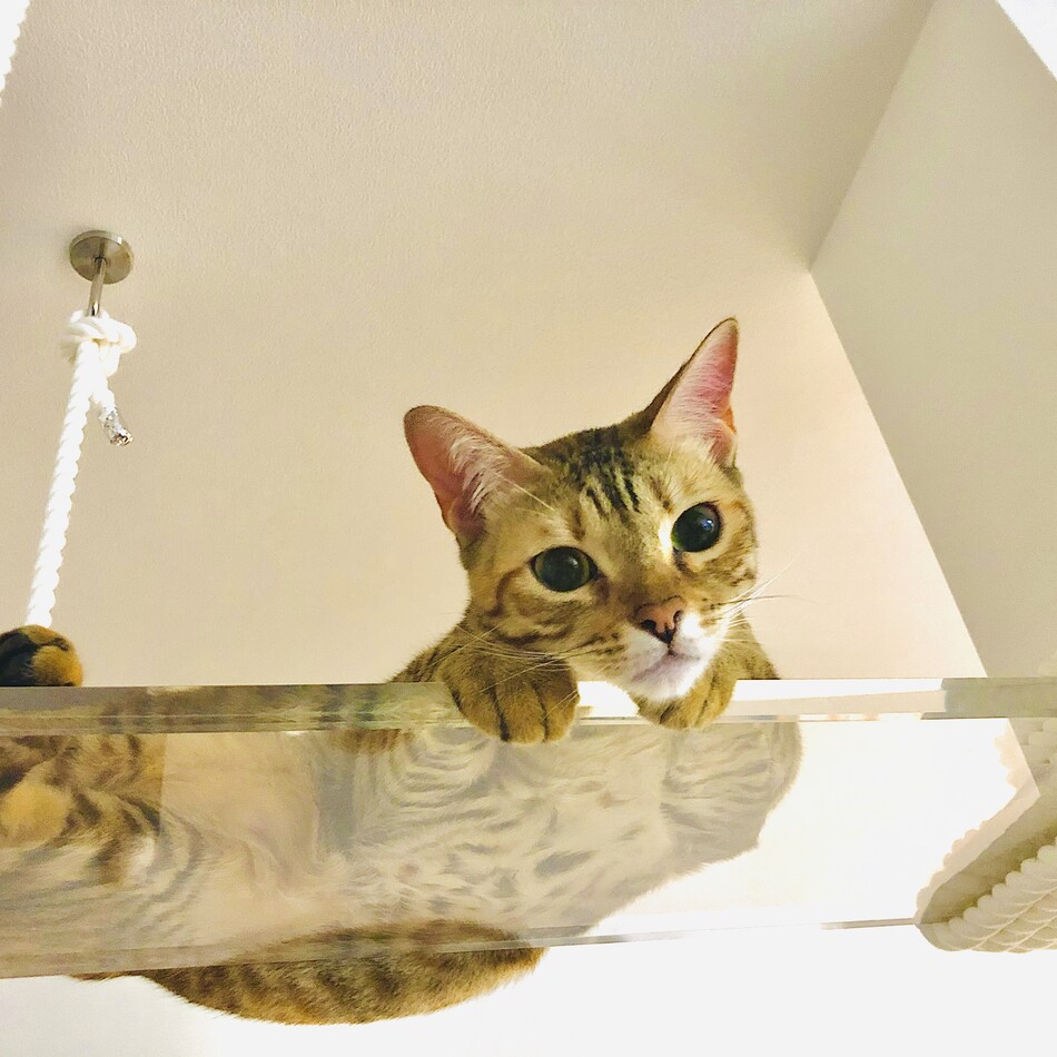 めいのカバー写真