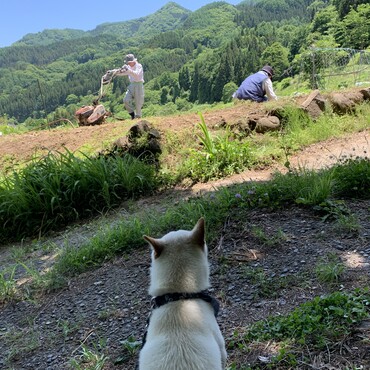 の写真