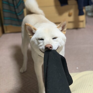 の写真