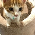 銀河くん　宙（そら）ちゃんとは兄妹です。