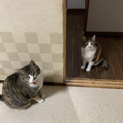 初めてのツーショット