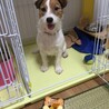 の写真