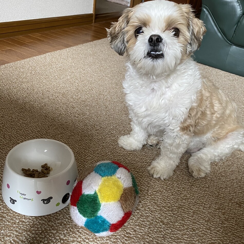 あ太郎のカバー写真