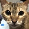ayu.kさん
