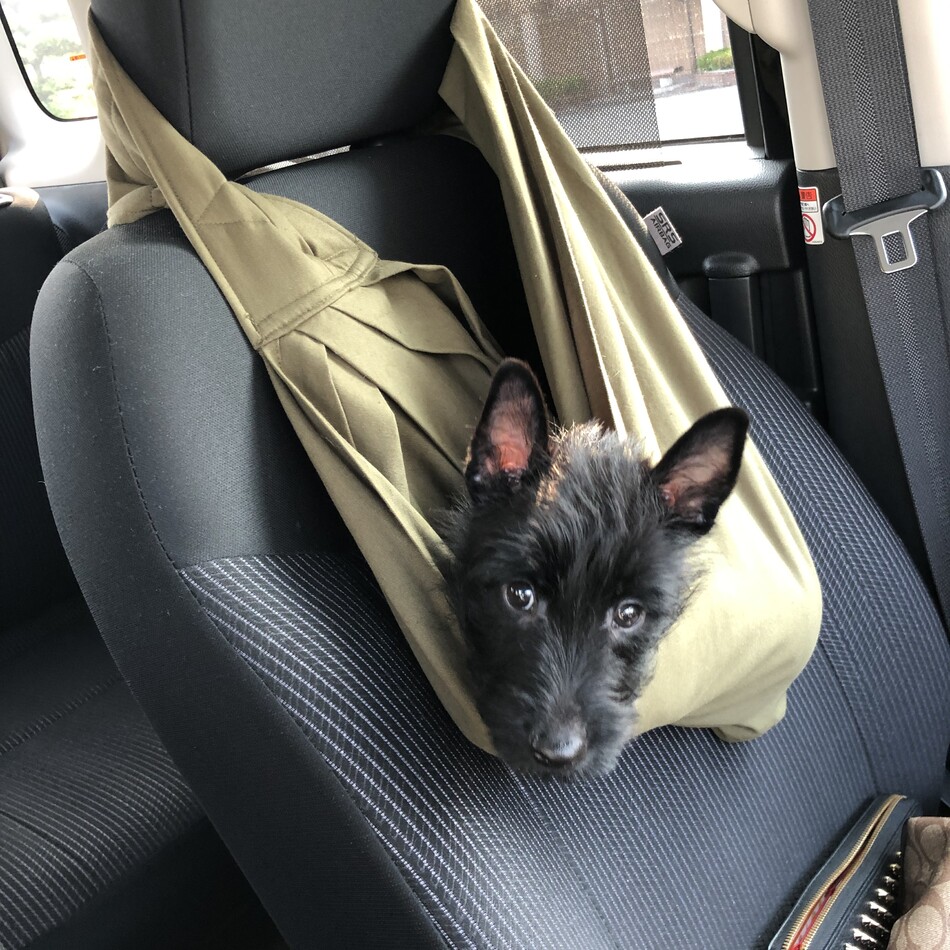 べくのカバー写真