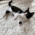 天真爛漫のくぅちゃん☆°｡⋆