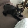 の写真