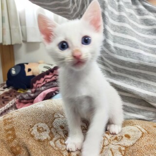 7月3.4日見学会参加／ブルーアイのレンくん