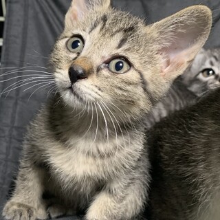 3.4日見学会/小柄な女の子さやちゃん