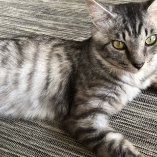 人懐こくて可愛いランくん★