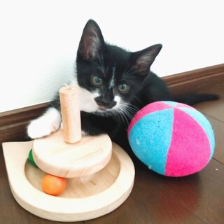 僕のあごひげ★遊び上手『ありま君』