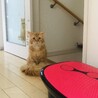 の写真