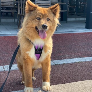ご家族決定いたしました！ありがとうございました！