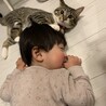くろまめ