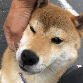 里親さんが決まりました！